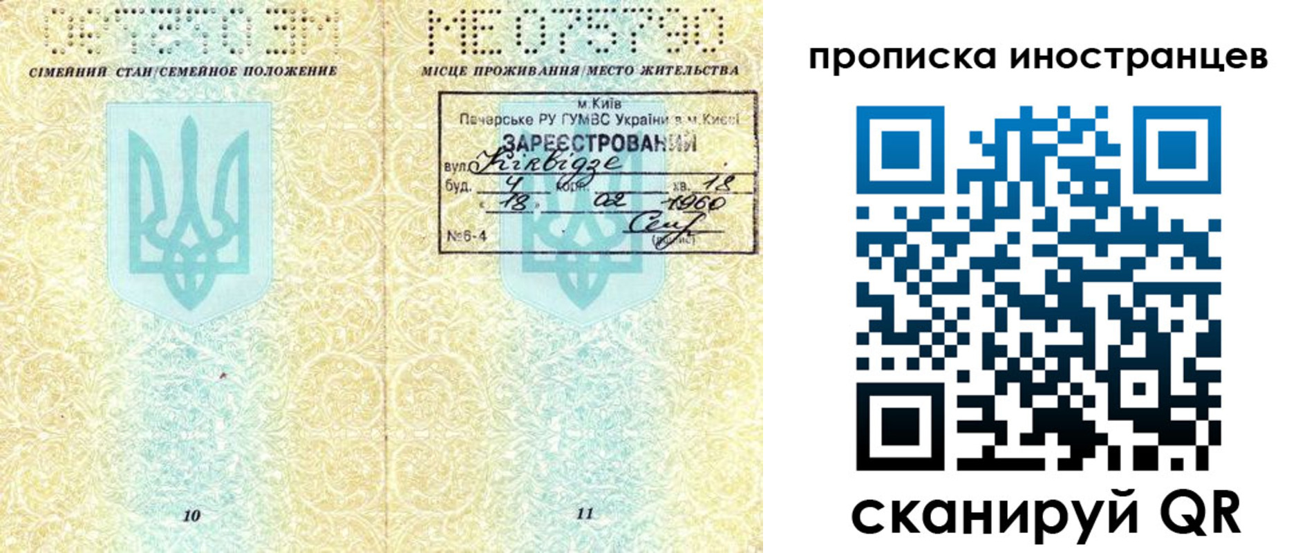 миграционный учет в Лосино-Петровском